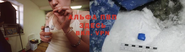 гидра Алексеевка