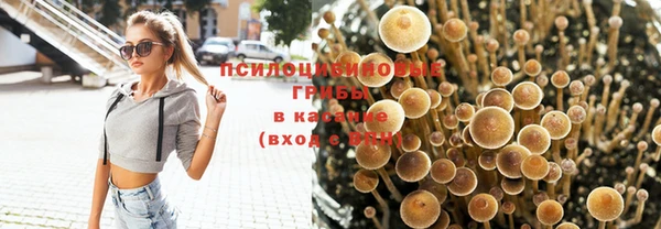 скорость Тавда